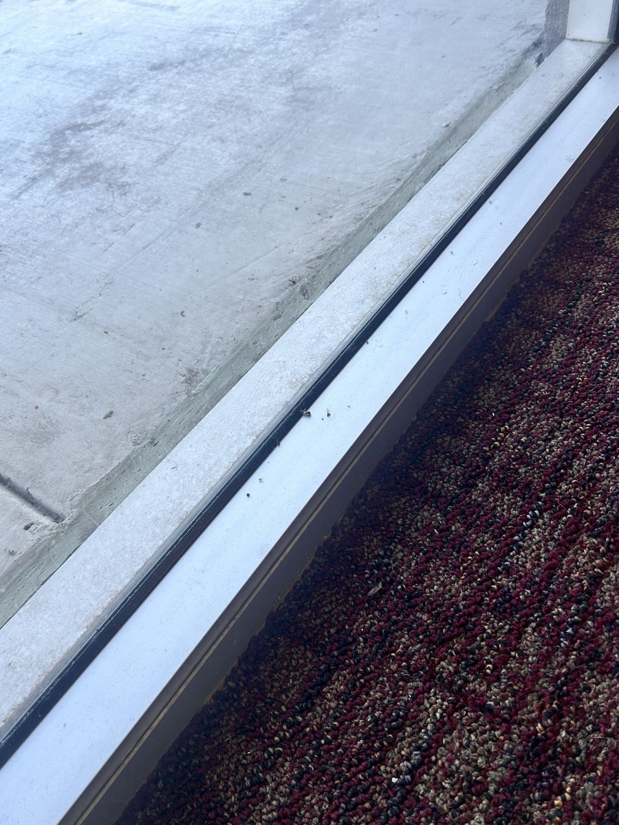 Filthy window track after cleaning by Clear as Days